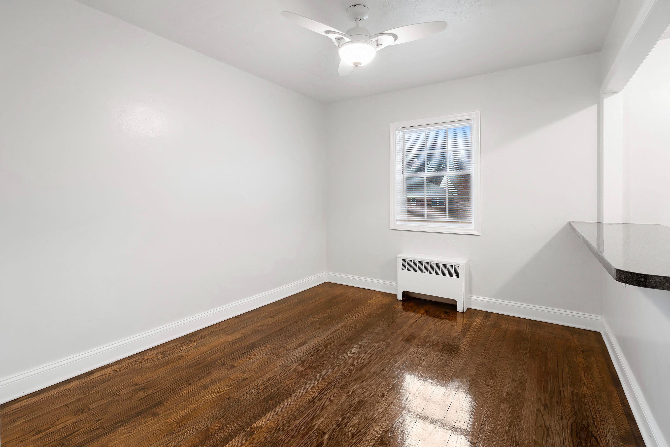 Gallery Photo 11